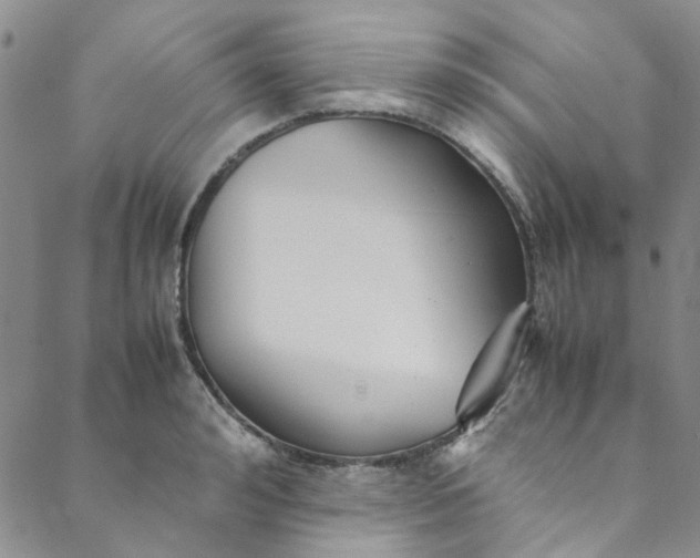 X0000088580992200706081118