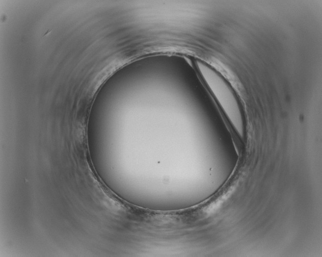 X0000088580993200706081118