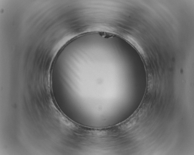 X0000088580996200706081118