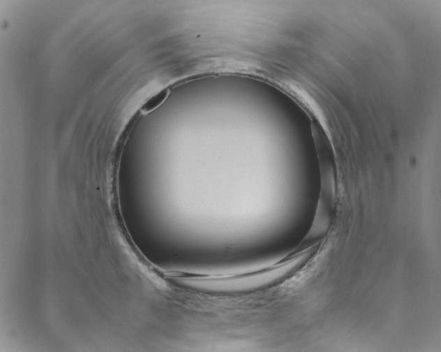 X0000088580997200706081118