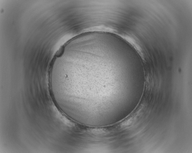 X0000088580998200706081118