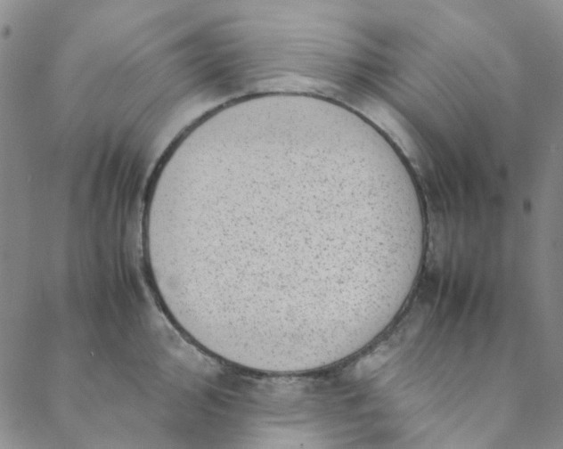 X0000088581000200706081118