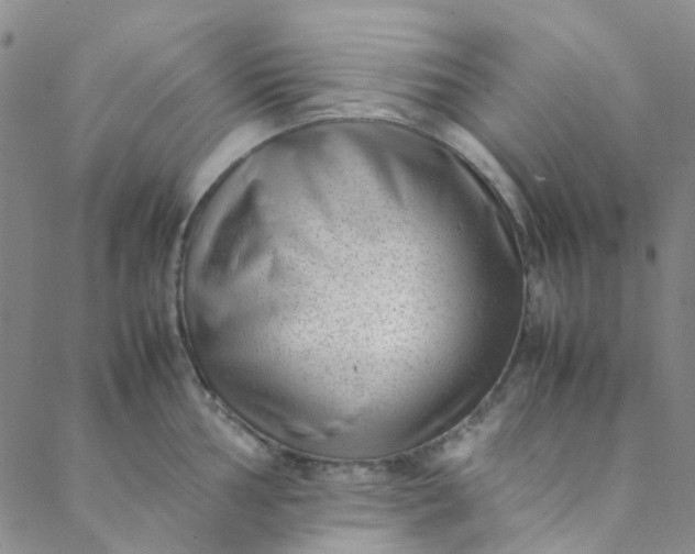 X0000088581002200706081118