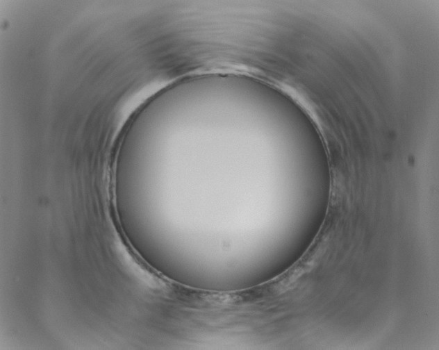 X0000088581003200706081118