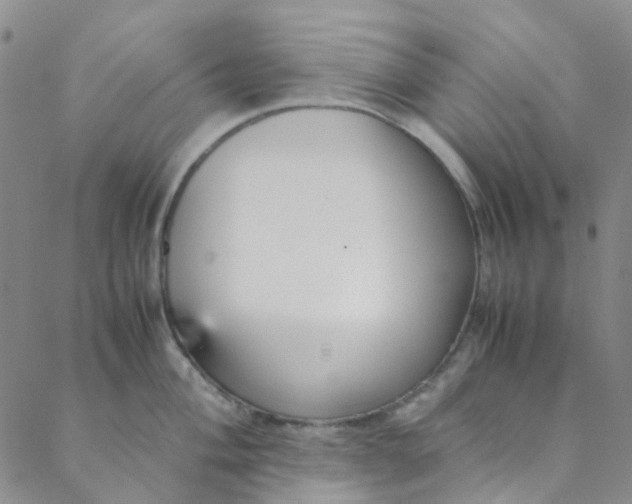 X0000088581004200706081118