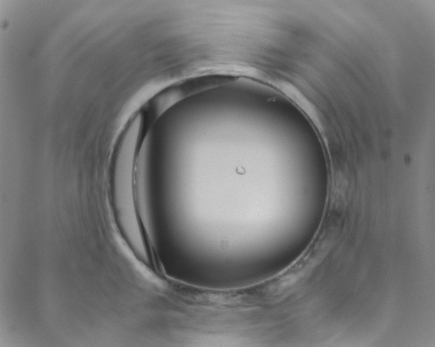 X0000088581005200706081118