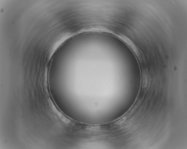 X0000088581006200706081118