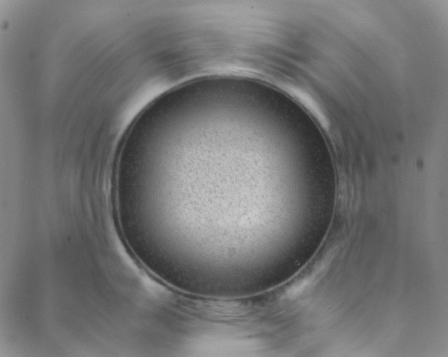 X0000088581007200706081118