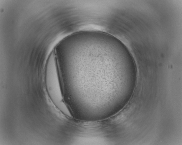 X0000088581008200706081118