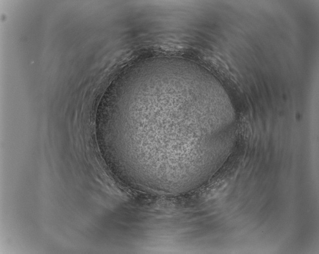 X0000088581009200706081117