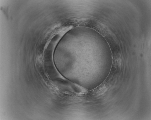 X0000088581010200706081117