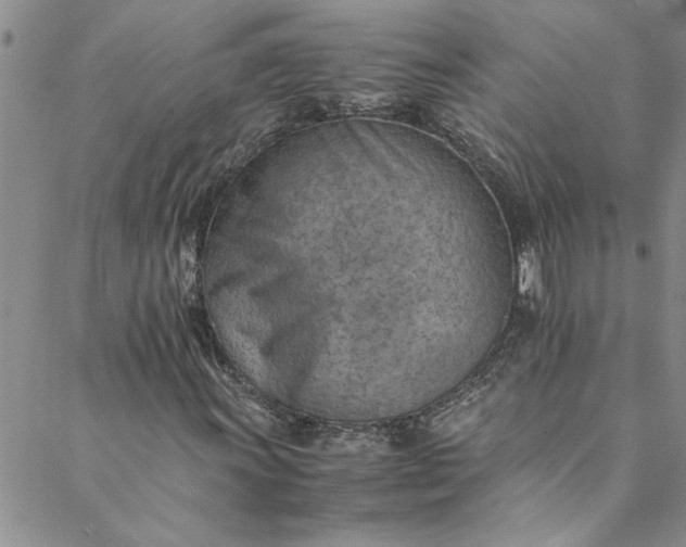 X0000088581011200706081117