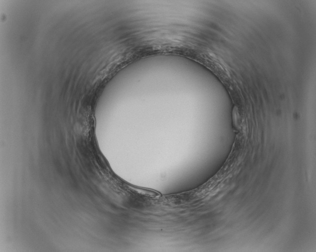 X0000088581012200706081117