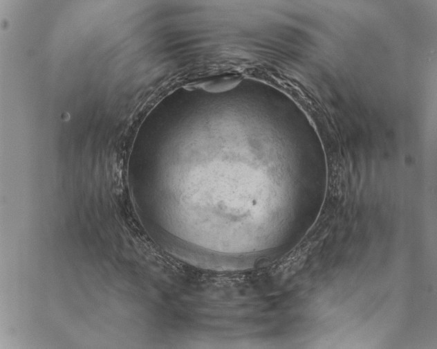 X0000088581013200706081117