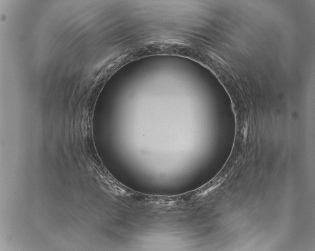 X0000088581014200706081117