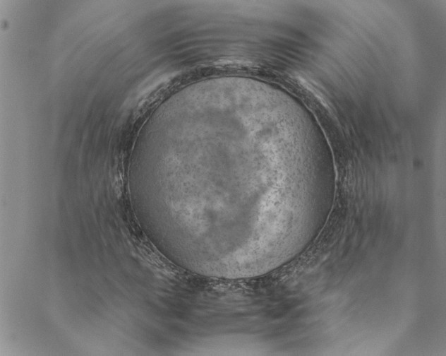 X0000088581015200706081117