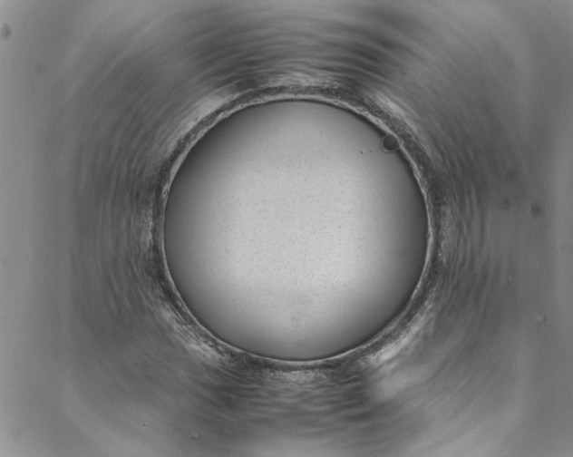 X0000088581017200706081117