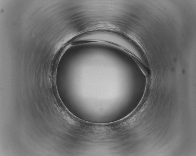 X0000088581018200706081117