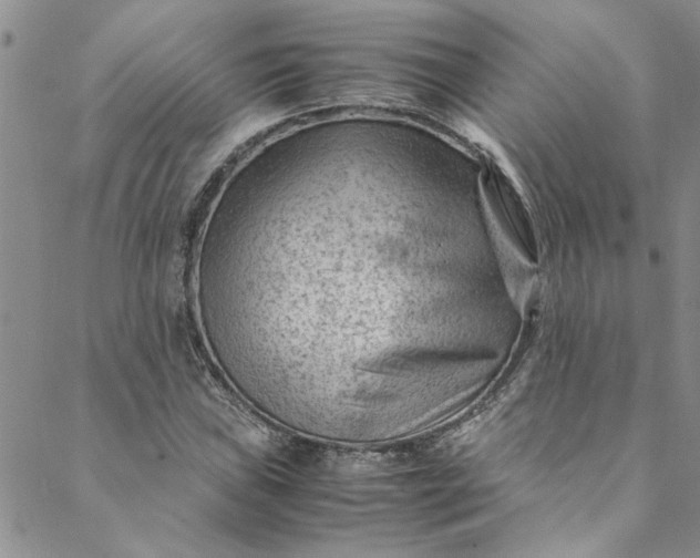 X0000088581019200706081117