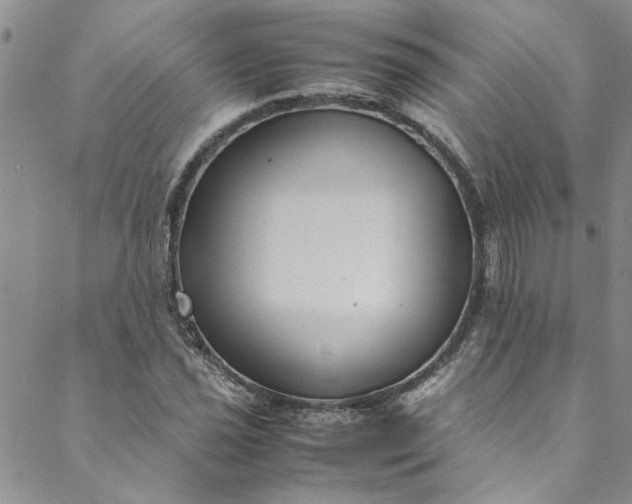 X0000088581021200706081117