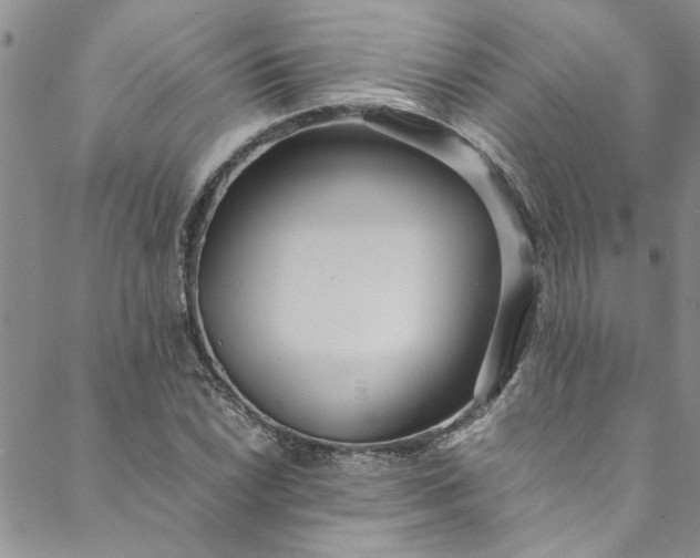 X0000088581022200706081117