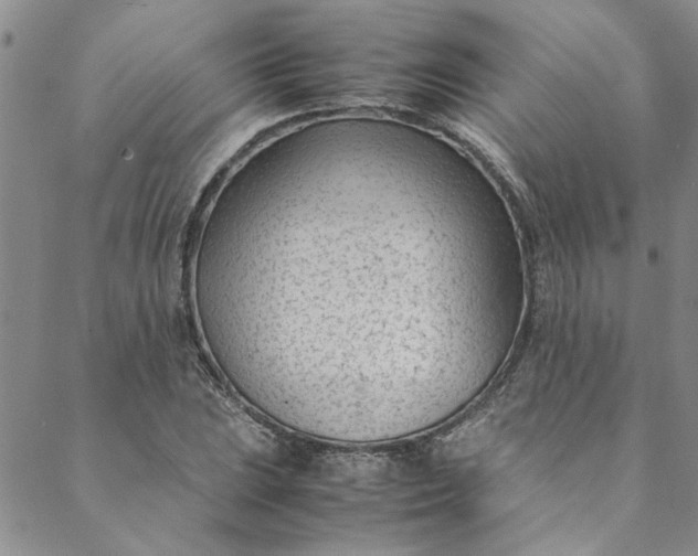 X0000088581023200706081117