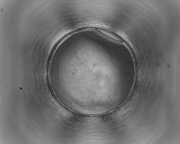 X0000088581024200706081117