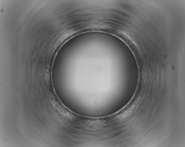 X0000088581025200706081117