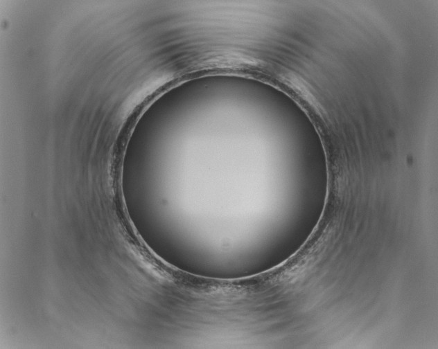 X0000088581026200706081117