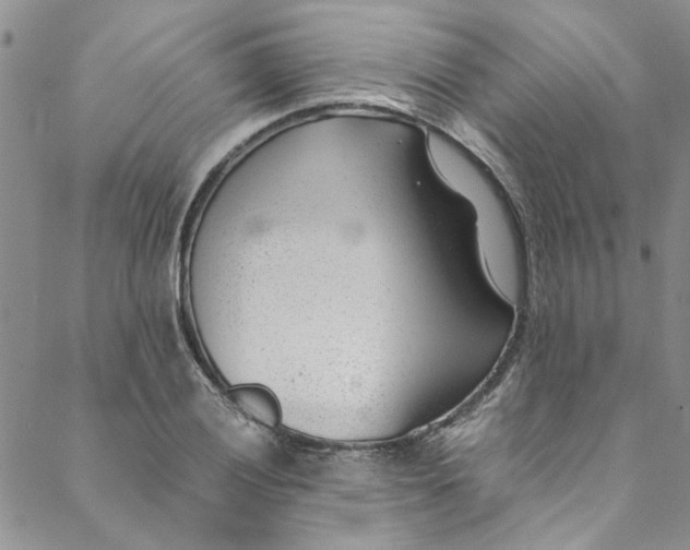 X0000088581028200706081117