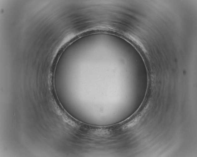 X0000088581029200706081117