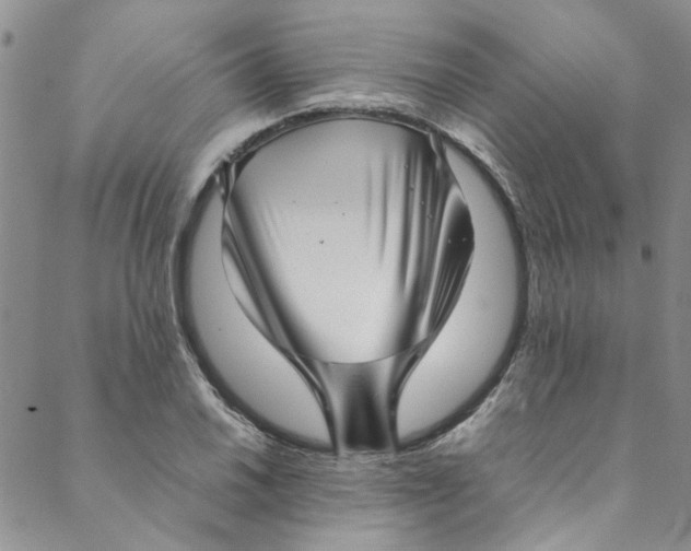 X0000088581030200706081117