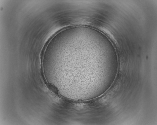 X0000088581031200706081117