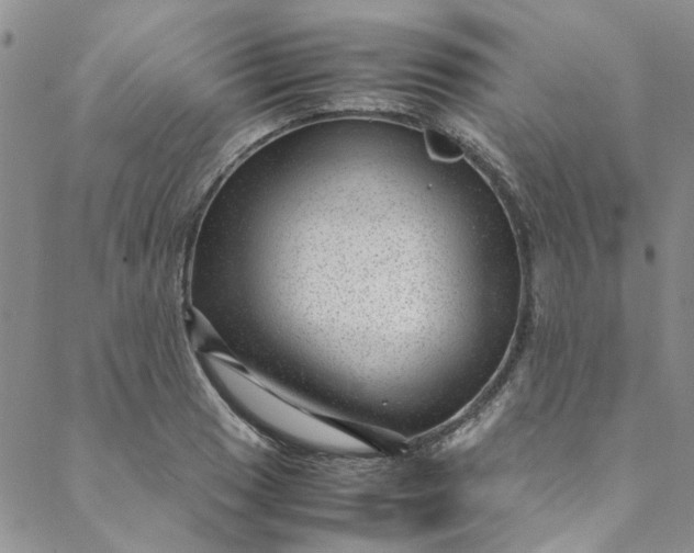 X0000088581033200706081117