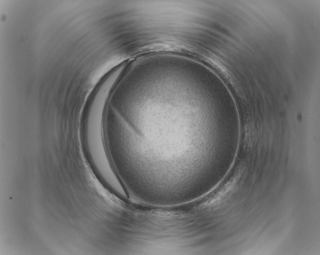 X0000088581034200706081117