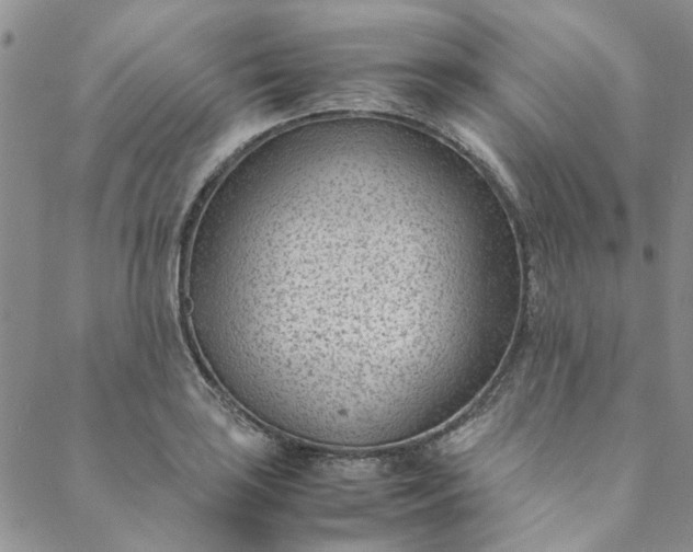 X0000088581035200706081118