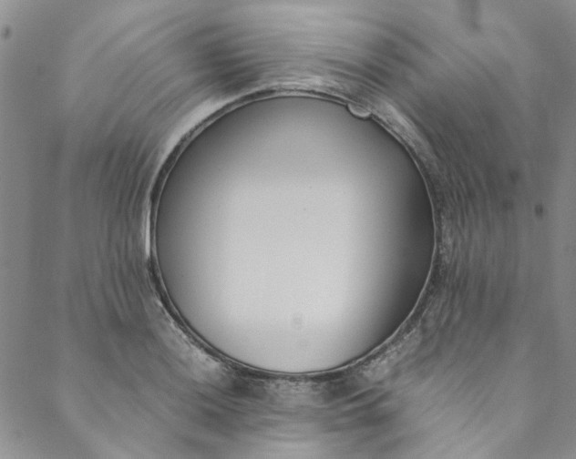 X0000088581036200706081118