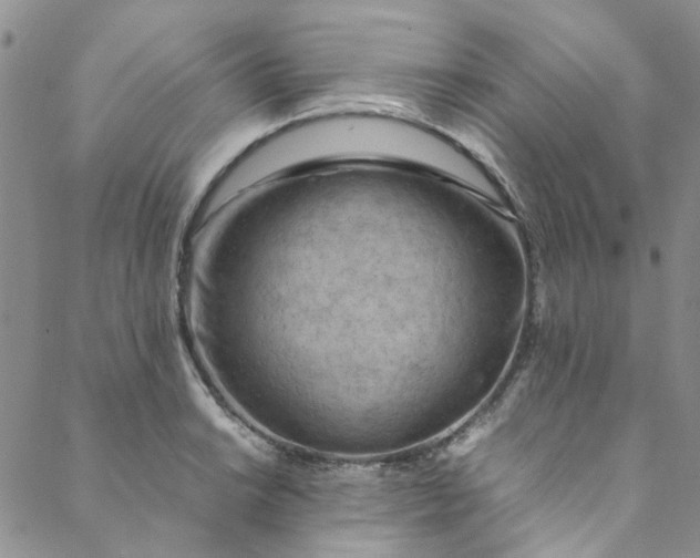 X0000088581038200706081118