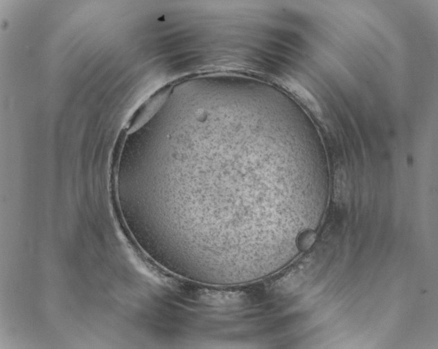 X0000088581039200706081118