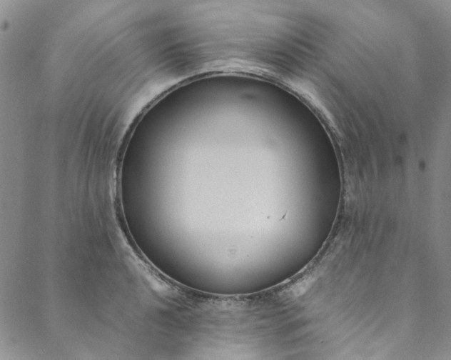 X0000088581040200706081118