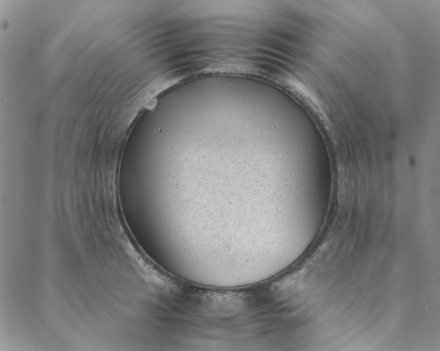 X0000088581041200706081118