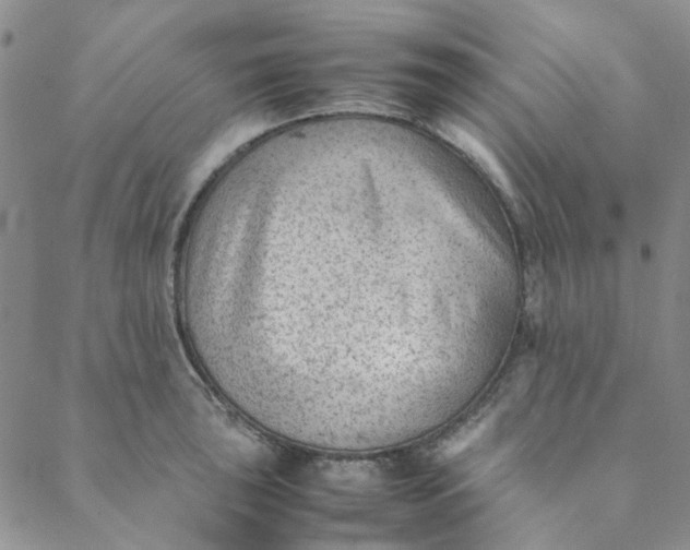 X0000088581043200706081118