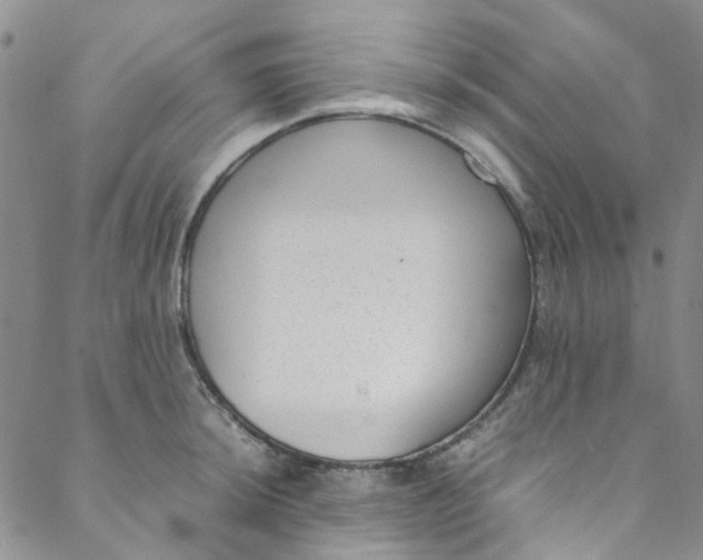 X0000088581044200706081118