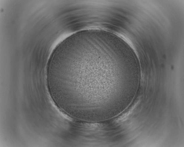 X0000088581045200706081118