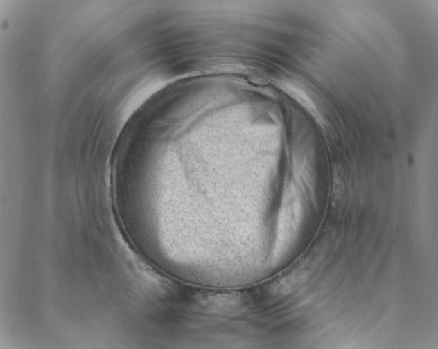 X0000088581047200706081118