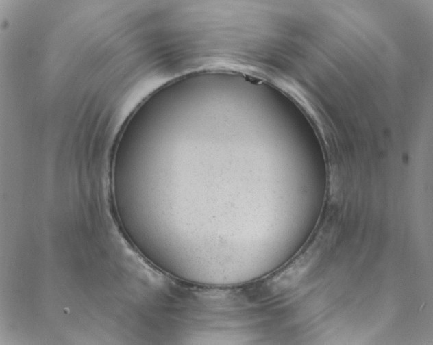 X0000088581048200706081118