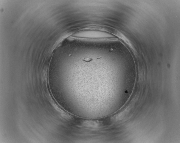 X0000088581049200706081118