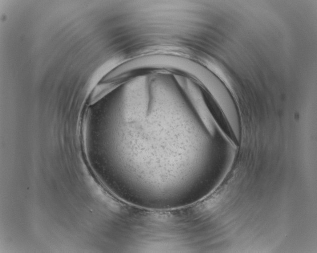 X0000088581050200706081118