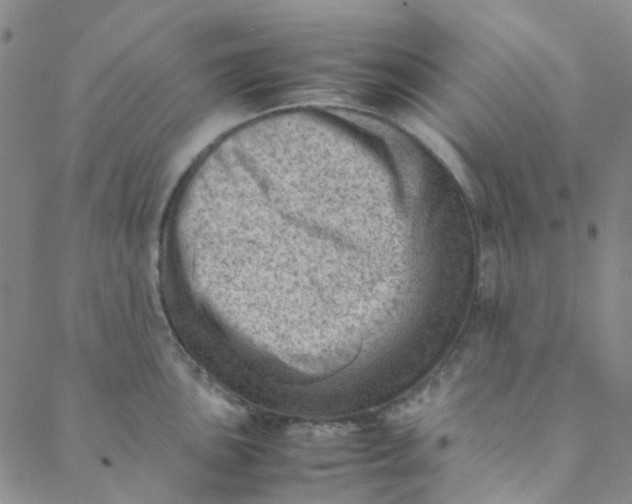 X0000088581051200706081118