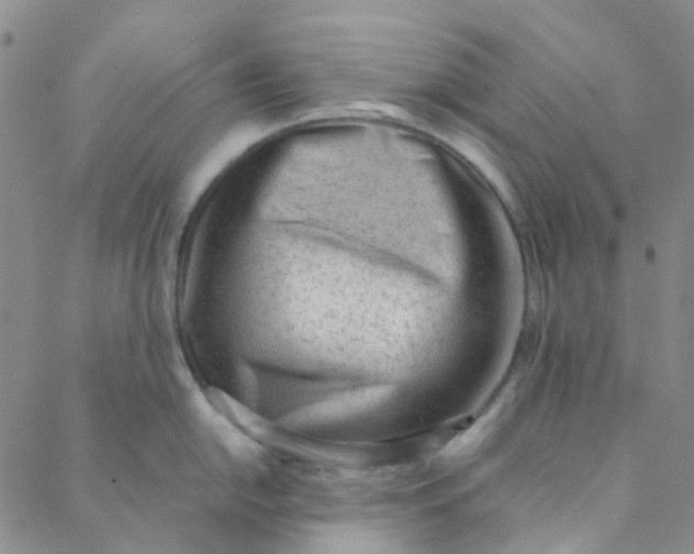 X0000088581054200706081118